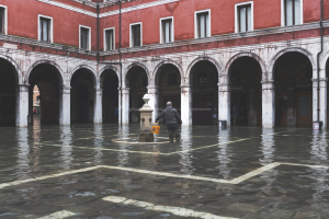 Venezia  12-18 Novembre 2019