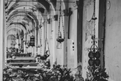 norcia16-301016
